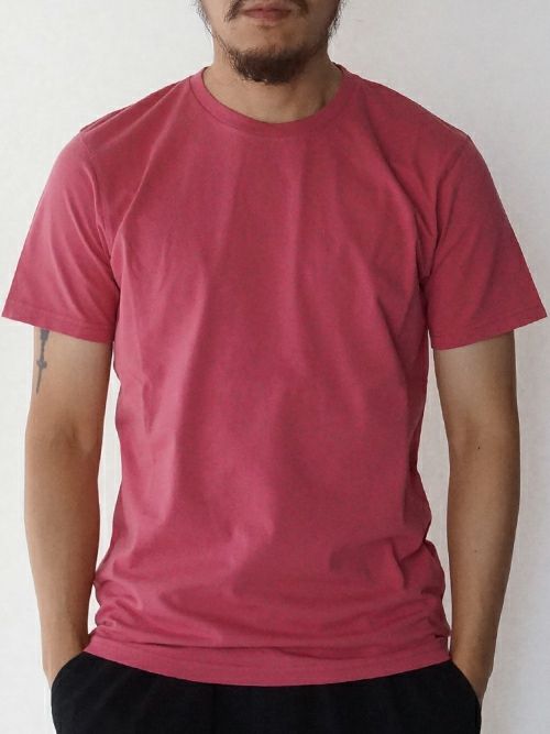 COLORFUL STANDARD / Classic Organic Tee