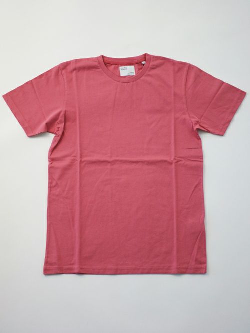 COLORFUL STANDARD / Classic Organic Tee