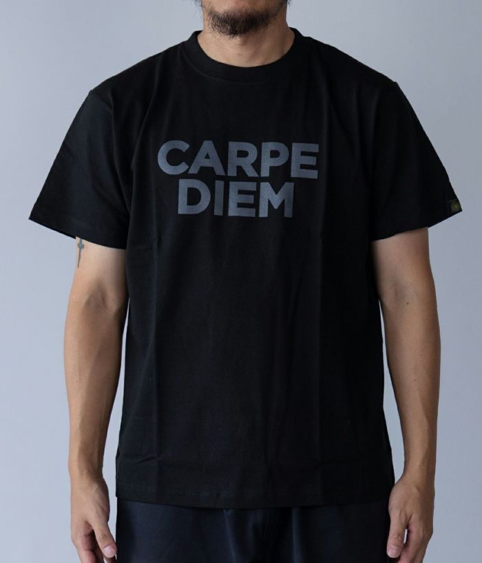 CARPEDIEM リネア/カルペディエム　タートルカットソー NEW two-tiered JCD-T004｜CARPE DIEM(カルペディエム)通販